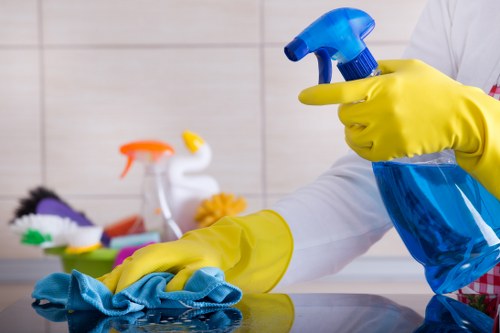 Eco-friendly cleaning products at Chiswick Cleaners