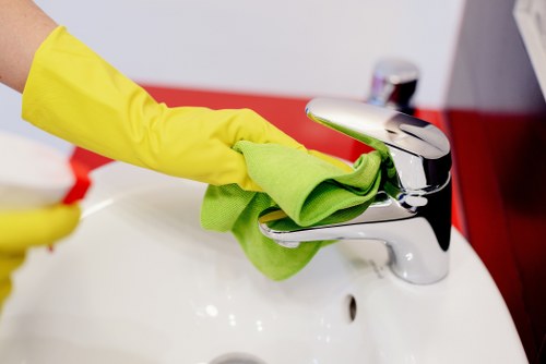 Eco-friendly cleaning agents used by professionals