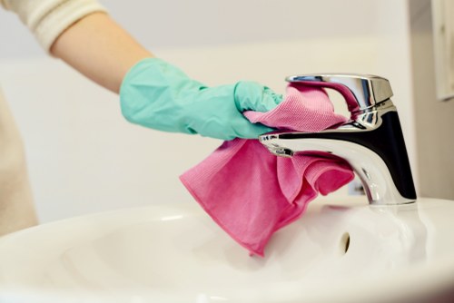 Residential and commercial carpet cleaning services