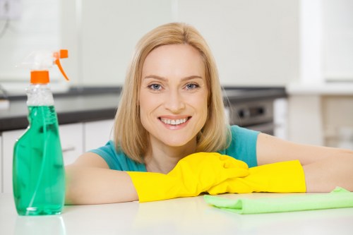 Rug cleaning process and techniques