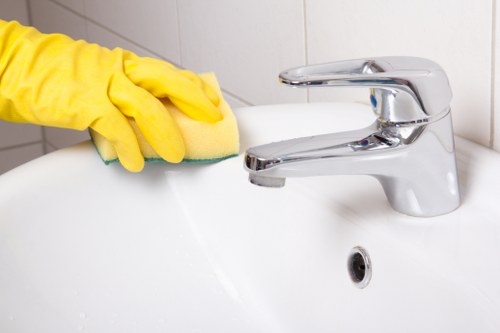 Step-by-step oven cleaning process by experts