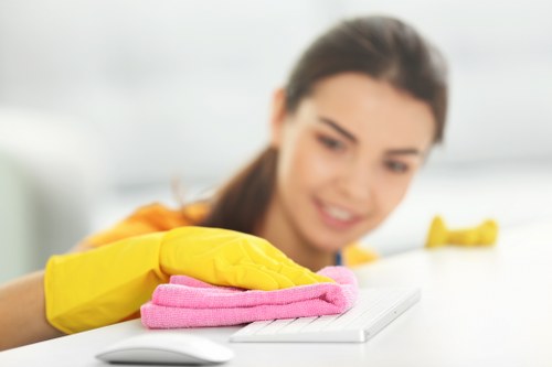 Professional cleaner using equipment on furniture