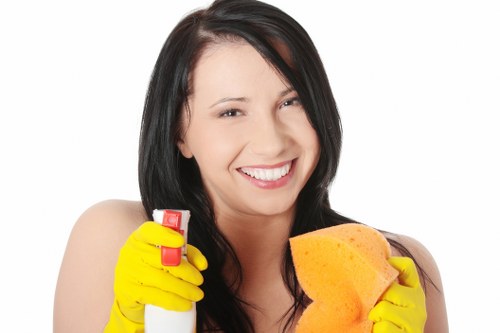 Professional cleaners at work in office